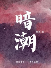 暗潮(1v2)作者:笔趣阁最新章节